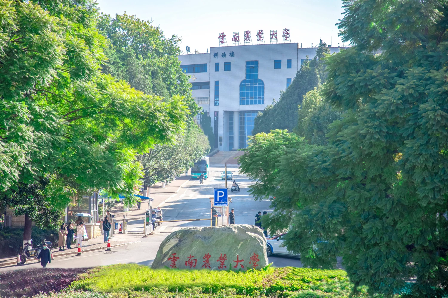云南农业大学东区入口、校名景石与耕读楼